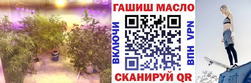 ТГК гашишное масло  это Telegram  Гаврилов-Ям 