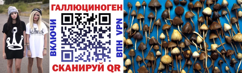цены   Гаврилов-Ям  Галлюциногенные грибы MAGIC MUSHROOMS 
