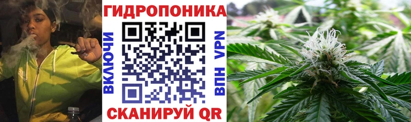 Канабис Ganja  Гаврилов-Ям 